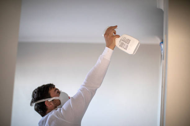 Best Toxic Mold Removal  in Thornton, IL